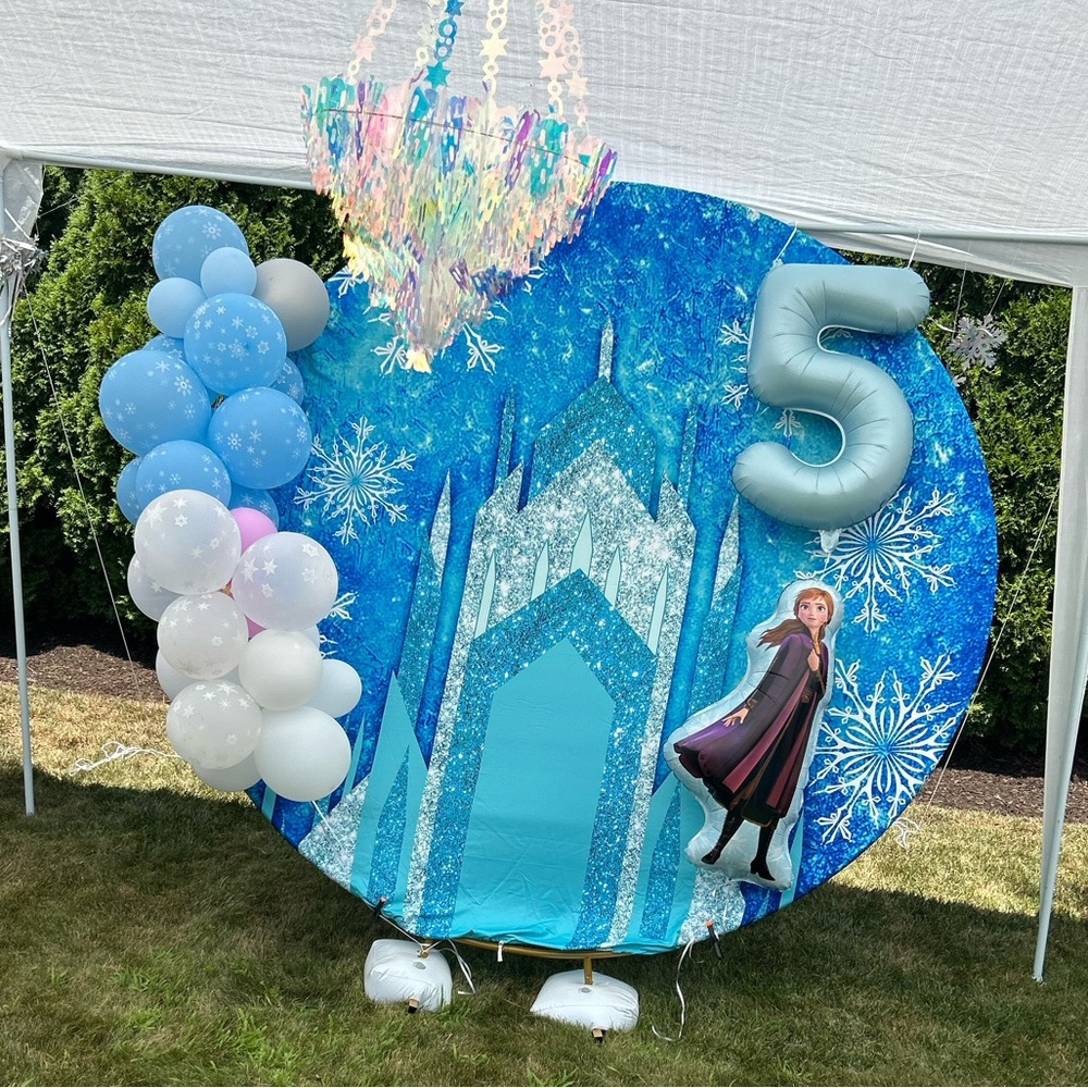 Frozen Photo Backdrop - Picture 2 of 5